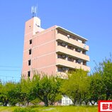 アピテ相川